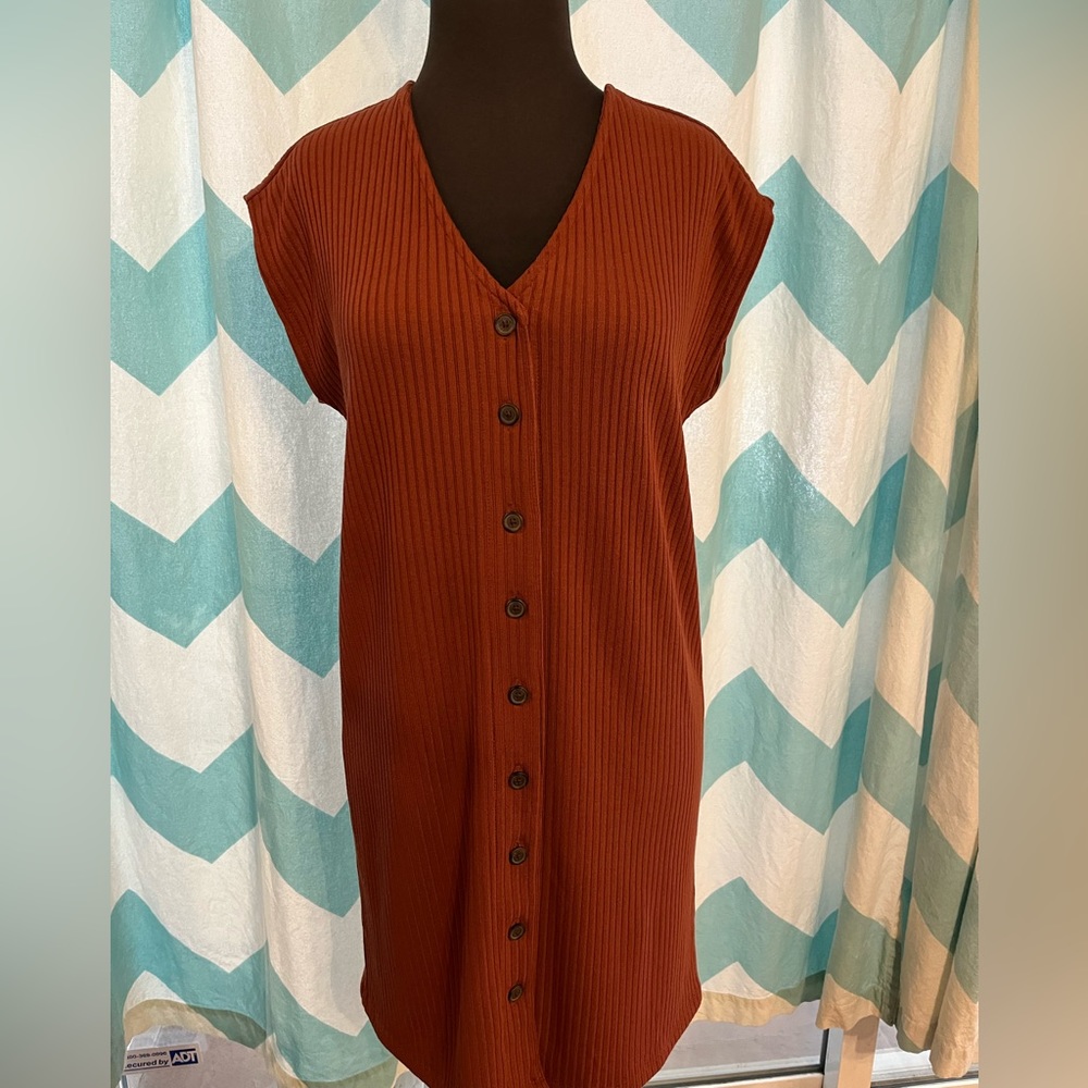 Rust button down dress